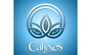 Calyxes Dispensary