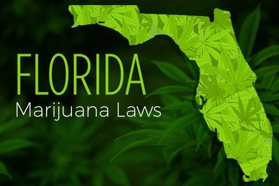 Florida Medical Weed: How Potent Will it Be? | Leafbuyer