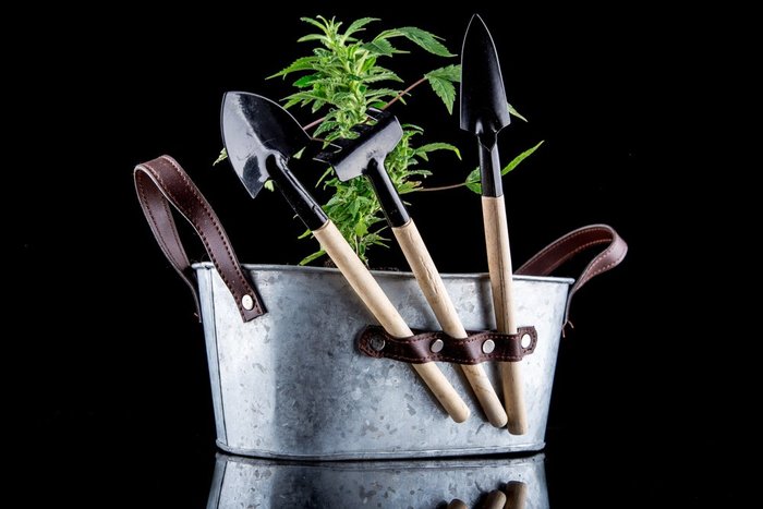 Popular Marijuana Grow Kits 