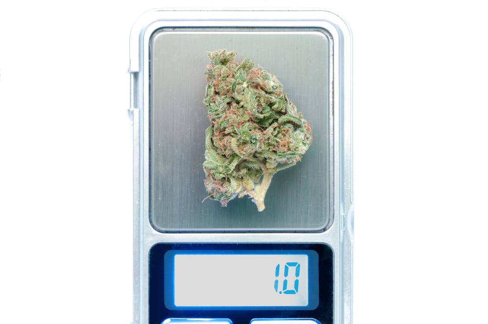 Ounce Of Weed: How Many Grams Is An Ounce Of Cannabis