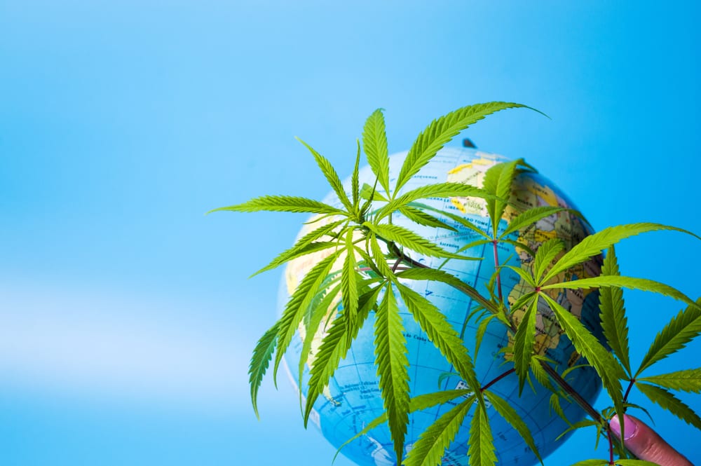 The History Of Cannabis Around The World: Part I | Leafbuyer