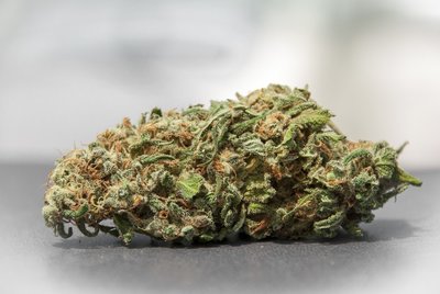 1970's Marijuana Strains: Where Are They Now? | Leafbuyer