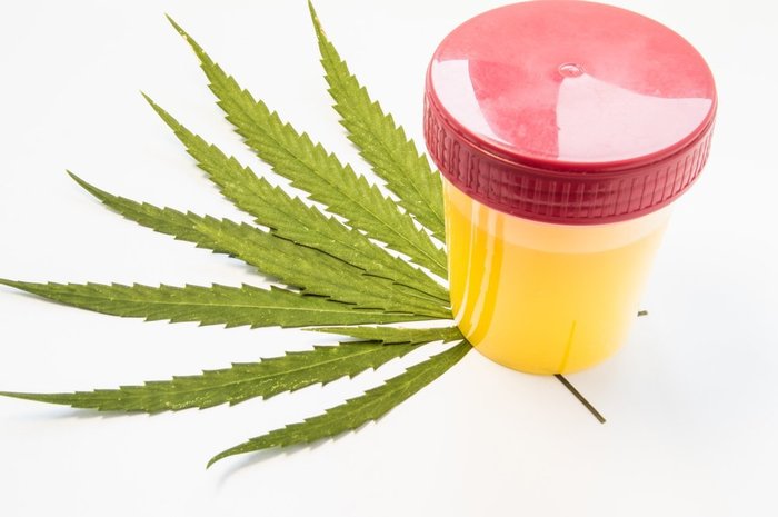 Will Cannabis Topicals Make You Fail a Drug Test? - RQS Blog