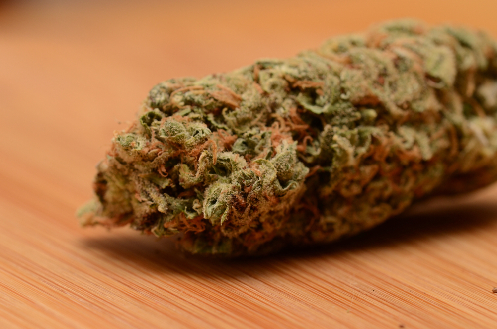 1970's Marijuana Strains: Where Are They Now? | Leafbuyer