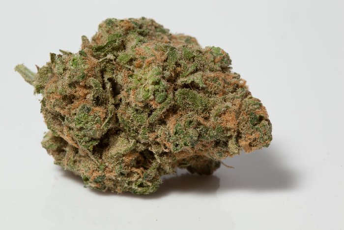 1970's Marijuana Strains: Where Are They Now? | Leafbuyer