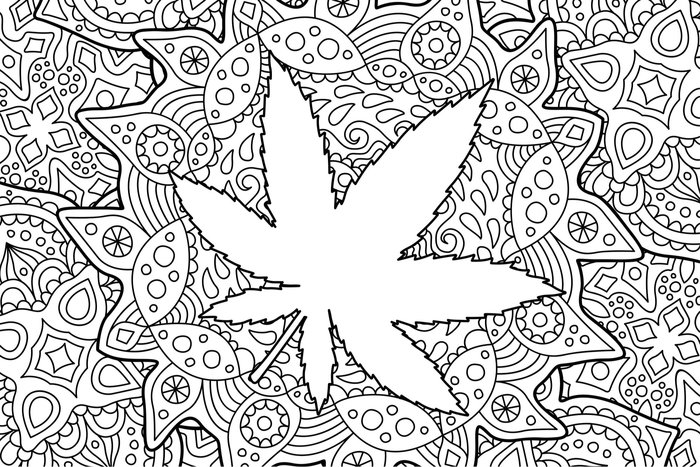Download Top 5 Cannabis Coloring Books For The Artistic Stoner Leafbuyer