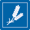 medicinal use Lavender