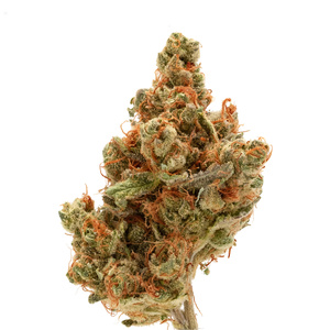 Tangie Strain - The Ultimate Guide - Marijuana Science