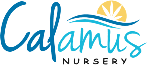 Calamus Nursery logo