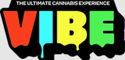 Vibe - Ann Arbor logo